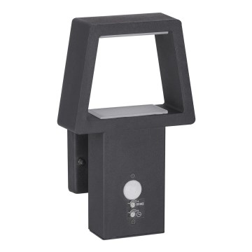Rabalux 8668 - Buitenverlichting met sensor ARIZONA 1xLED/10,5W/230V IP44