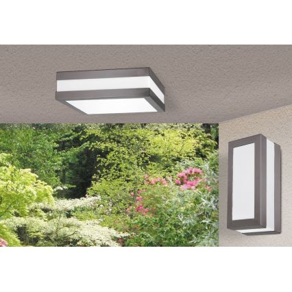 Rabalux - Buiten wandlamp 1xE27/14W/230V IP44