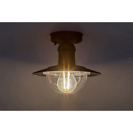 Rabalux - Plafondverlichting buiten 1xE27/60W IP44