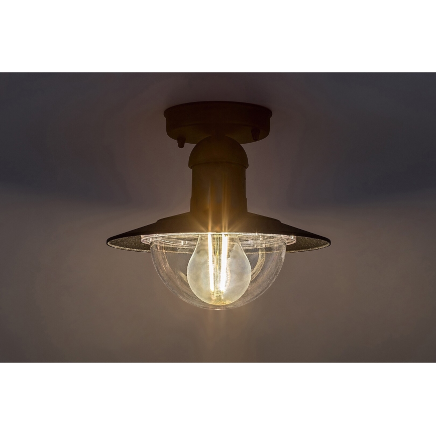 Rabalux - Plafondverlichting buiten 1xE27/60W IP44
