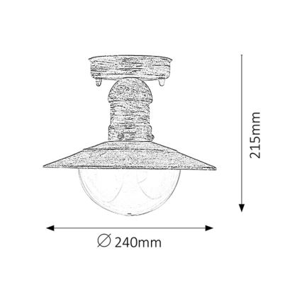 Rabalux - Plafondverlichting buiten 1xE27/60W IP44