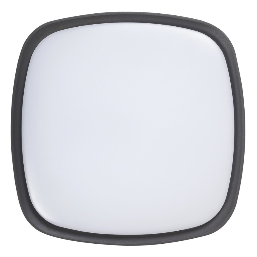 Rabalux - LED Plafondverlichting voor buiten LED/20W/230V IP65