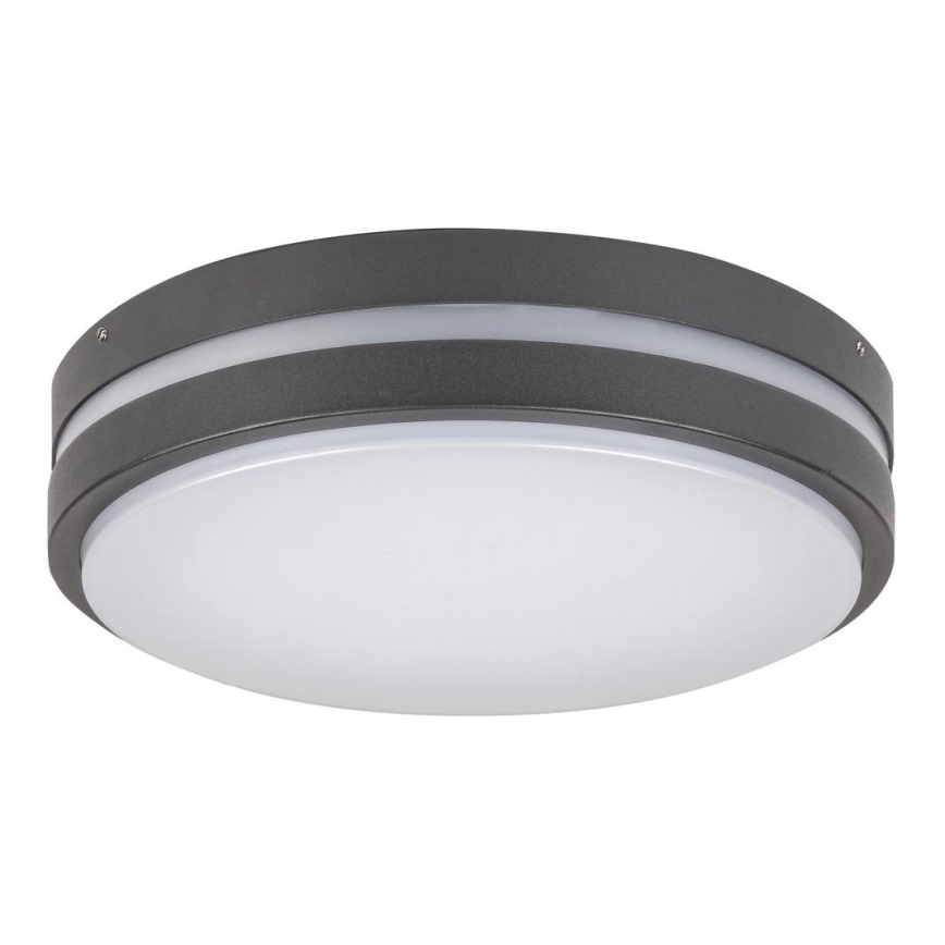 Rabalux 8848 - LED Wandlamp voor buiten HAMBURG LED/12W/230V IP44