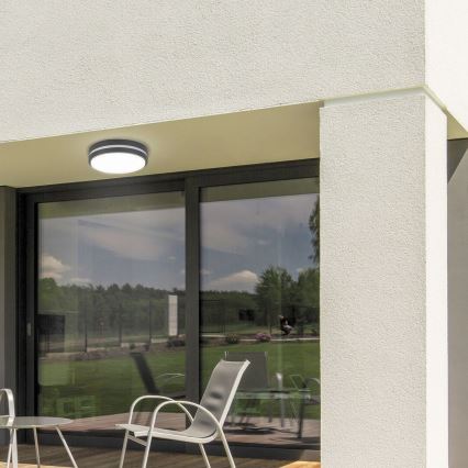 Rabalux 8848 - LED Wandlamp voor buiten HAMBURG LED/12W/230V IP44