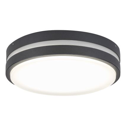 Rabalux 8848 - LED Wandlamp voor buiten HAMBURG LED/12W/230V IP44