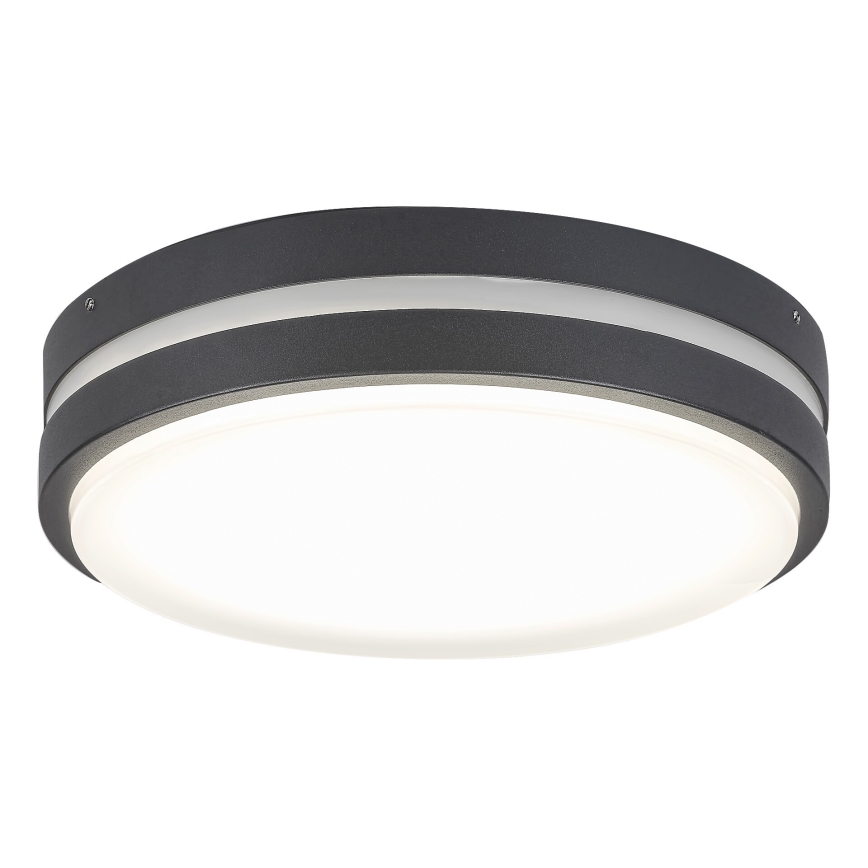 Rabalux 8848 - LED Wandlamp voor buiten HAMBURG LED/12W/230V IP44