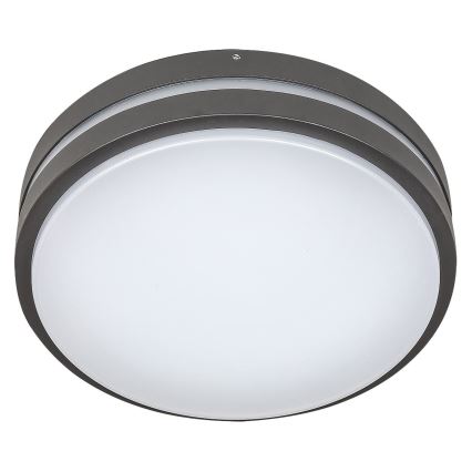 Rabalux 8848 - LED Wandlamp voor buiten HAMBURG LED/12W/230V IP44