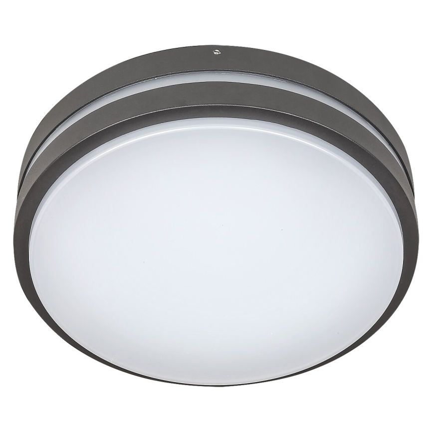 Rabalux 8848 - LED Wandlamp voor buiten HAMBURG LED/12W/230V IP44