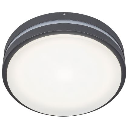 Rabalux 8848 - LED Wandlamp voor buiten HAMBURG LED/12W/230V IP44