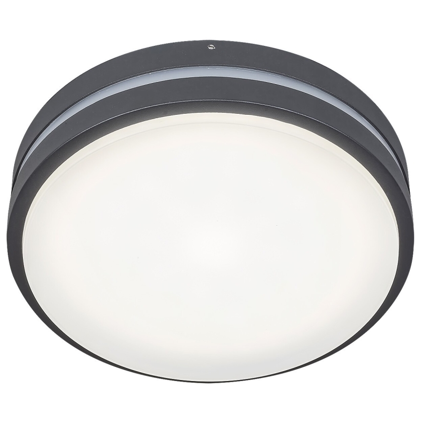 Rabalux 8848 - LED Wandlamp voor buiten HAMBURG LED/12W/230V IP44