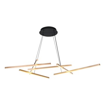 Rabalux - Dimbare LED hanglamp aan een koord LED/40W/230V 3000-6500K + afstandsbediening