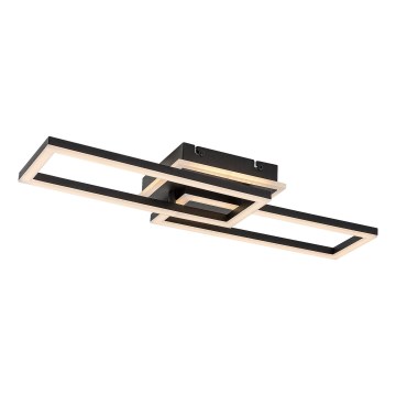 Rabalux - Dimbare LED-plafondlamp LED/30W/230V 3000-6500K met afstandsbediening 22x60 cm