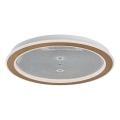 Rabalux - dimbare LED-plafondlamp LED/34W/230V 3000-6500K Ø 51 cm + afstandsbediening