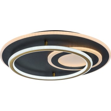 Rabalux - Dimbare LED-plafondlamp LED/60W/230V 3000-6000K Ø 50 cm + afstandsbediening