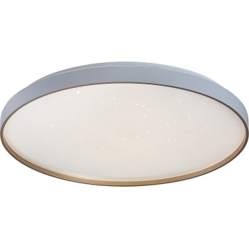 Rabalux - Dimbare LED-plafondlamp LED/80W/230V 3000-6500K pr. 77 cm + afstandsbediening