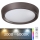 Rabalux - Dimbare LED RGB Plafond Lamp LED/24W/230V + afstandsbediening 3000-6000K