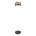 Rabalux - Dimbare LED Staande lamp LED/20W/230V 3000/4000/6000K