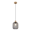 Rabalux - Hanglamp aan een koord 1xE27/60W/230V