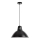 Rabalux - Hanglamp aan kabel 1xE27/60W/230V zwart