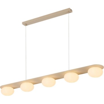 Rabalux - Hanglamp aan kabel 5xG9/25W/230V