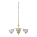Rabalux - Hanglamp aan ketting 3xE14/40W/230V