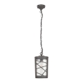 Rabalux - Hanglamp voor buiten 1xE27/60W/230V IP44