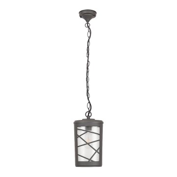 Rabalux - Hanglamp voor buiten 1xE27/60W/230V IP44