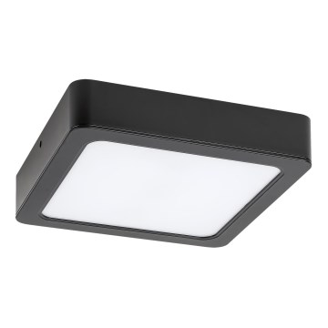 Rabalux - LED Badkamer plafondlamp LED/24W/230V 22x22 cm IP44