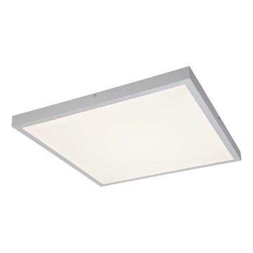 Rabalux - LED Bevestigd lichtpaneel LED/40W/230V 4000K 60x60 cm