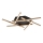 Rabalux - LED Bevestigde Hanglamp LED/40W/230V 3000K