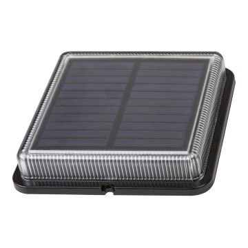 Rabalux - LED-buitenlamp op zonne-energie LED/1,5W/3,2V 4000K 500 mAh IP67