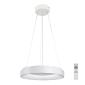 Rabalux - LED dimbare hanglamp aan kabel LED/38W/230V 3000-6500K wit + afstandsbediening