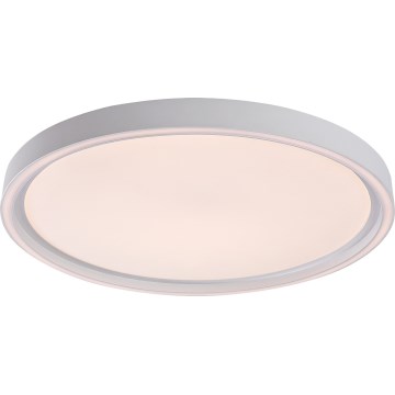 Rabalux - LED dimbare plafondlamp LED/31W/230V IP40 3000-6500K Ø 41,5 cm + afstandsbediening
