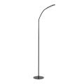 Rabalux - LED Dimbare Touch Vloerlamp LED/10W/230V 3000-6000K zwart