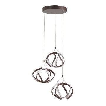 Rabalux - LED Hanglamp aan draad LED/50W/230V