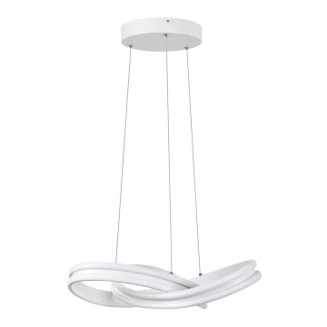 Rabalux - LED Hanglamp aan draad LED/60W/230V