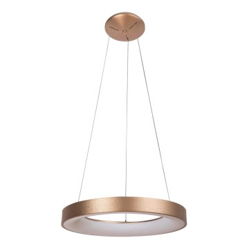 Rabalux - LED Hanglamp aan een koord CARMELLA LED/50W/230V diameter 60 cm