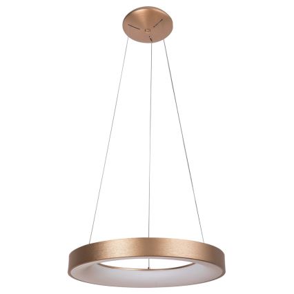 Rabalux - LED Hanglamp aan een koord CARMELLA LED/80W/230V diameter 80 cm