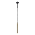 Rabalux - LED Hanglamp aan een koord LED/10W/230V 4000K zwart/goud