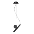 Rabalux - LED Hanglamp aan een koord LED/3W/230V 3000K