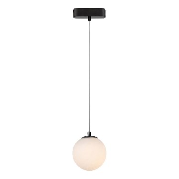 Rabalux - LED Hanglamp aan een koord voor 1-fase railsysteem LED/5W/24V 3000K zwart