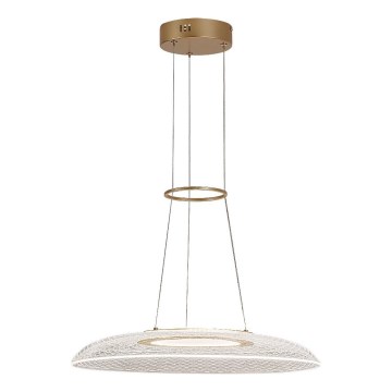 Rabalux - LED-hanglamp aan kabel LED/24W/230V 3000K