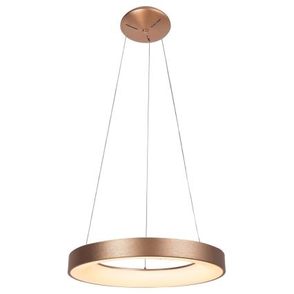 Rabalux - LED Hanglamp aan koord CARMELLA LED/50W/230V