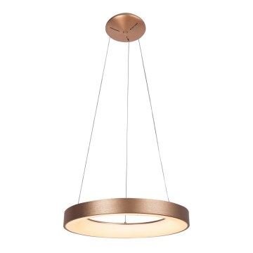 Rabalux - LED Hanglamp aan koord CARMELLA LED/80W/230V