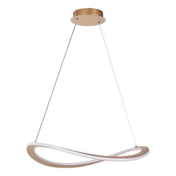 Rabalux - LED-hanglamp met kabel LED/40W/230V 3000K