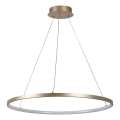 Rabalux - LED-kroonluchter met kabel LED/55W/230V 3000K