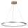 Rabalux - LED-kroonluchter met kabel LED/55W/230V 3000K