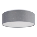 Rabalux - LED Plafond Lamp LED/22W/230V grijs