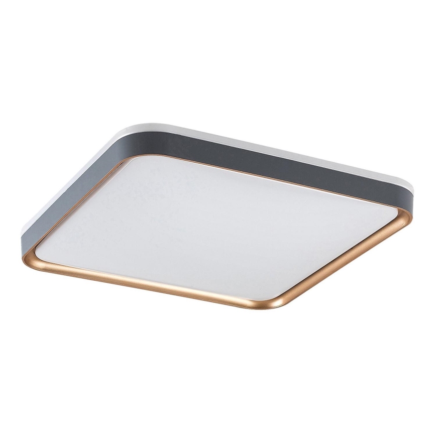 Rabalux - LED-plafondlamp 26W/230V 3000K 39,5 x 39,5 cm