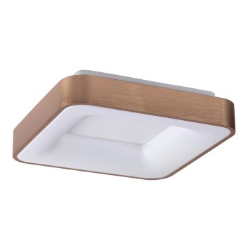 Rabalux - LED plafondlamp CARMELA LED/30W/230V 40x40 cm